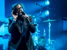 Pulp