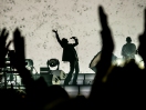 Pulp