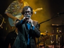 Pulp