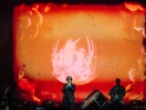 Pulp