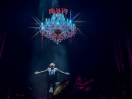 Pulp