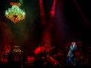 Pulp