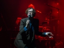 Pulp