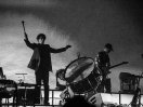 Pulp