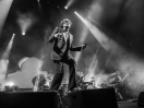 Pulp