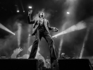 Pulp