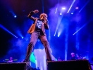 Pulp