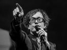 Pulp