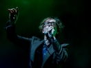 Pulp