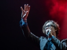 Pulp