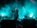 Pulp