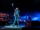 Pulp