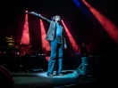 Pulp