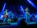 Pulp