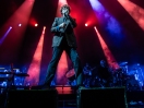 Pulp