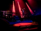 Pulp