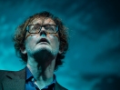 Pulp