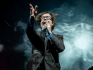 Pulp
