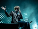 Pulp