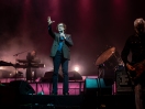 Pulp
