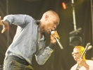 rock the garden 2015 13