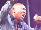 rock the garden 2015 19