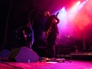 Swervedriver6