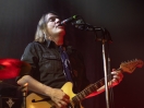 TheDandyWarhols11