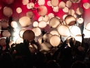 TheDandyWarhols24
