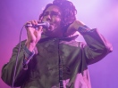 The Growlers and Sports at First Avenue