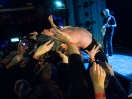 The Jesus Lizard