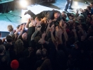 The Jesus Lizard