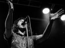 KissTheTiger13bw