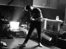 TheWombats33