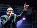 The Hold Steady