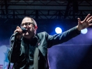 The Hold Steady