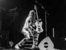 Melvins