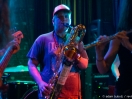 Crown Larks