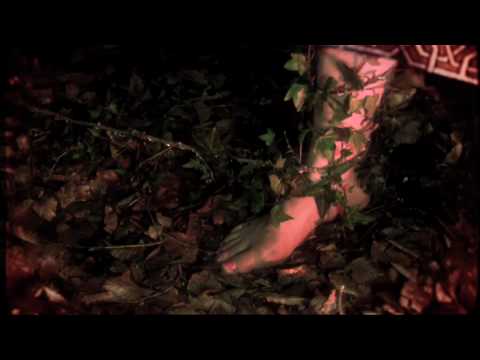 Video: Cate Le Bon's Hollow Trees House Hounds 6