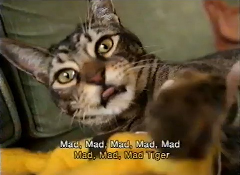 Video: Peelander Z's "Mad Tiger" Karaoke 5