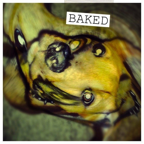 baked_medium_image