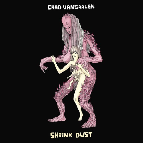 chad van gaalen shrink dust