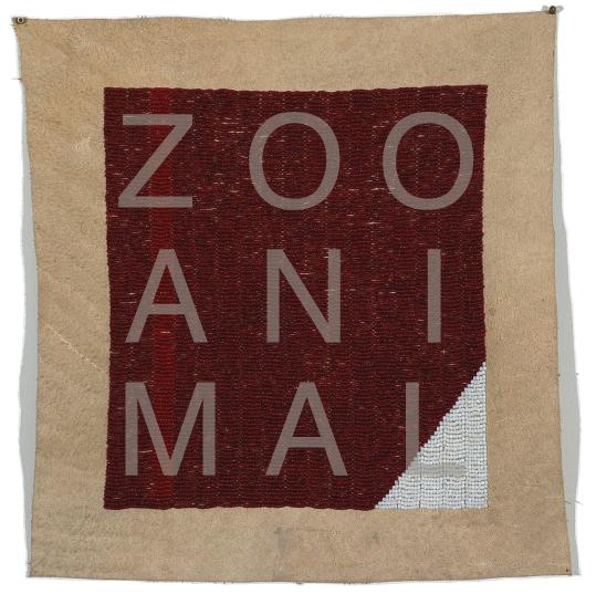 Zoo Animal: Zoo Animal Review 8