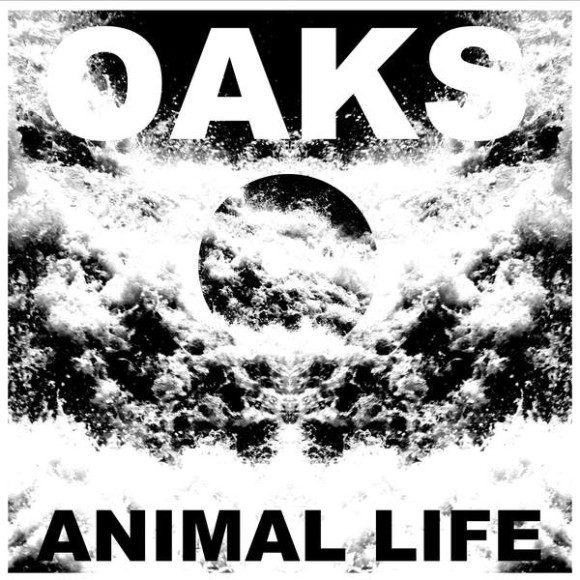 oaks-animal-life