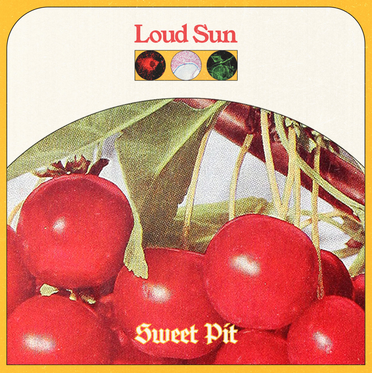 Loud Sun: “Sweet Pit” Review