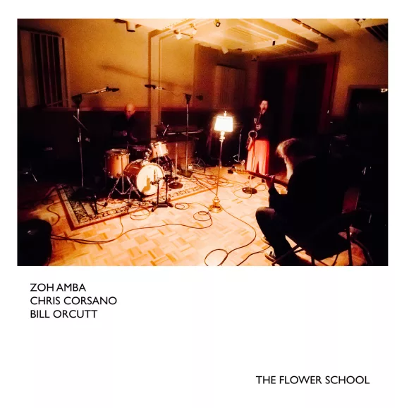 Zoh Amba, Chris Corsano and Bill Orcutt Create Beautiful Chaos on Their New LP The Flower School (Plus live video from Amba/Corsano DC show) 1