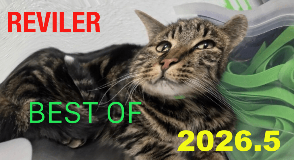 Best of 2026.5 (Josh) 1