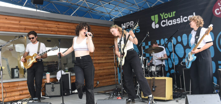 Photos: Megasound At The Minnesota State Fair 1