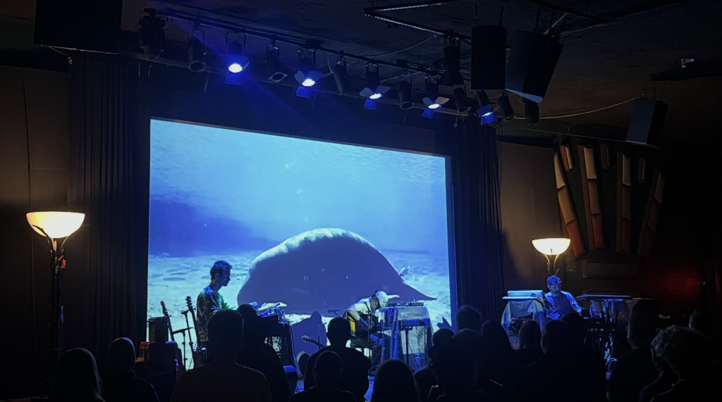 We Went There: Croz Boyce at The Cedar 1