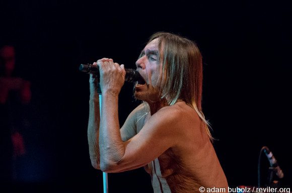 Iggy Pop